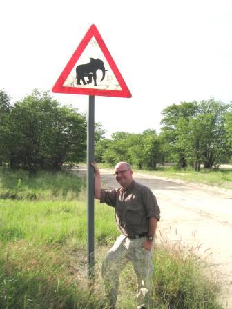 dave fox botswana elephant crossing